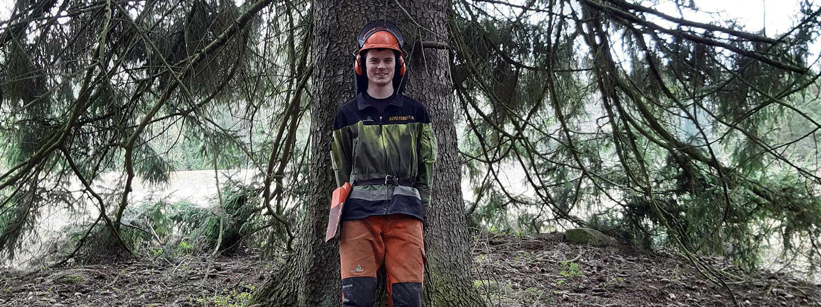 Plantering, röjning, huggning med Rimforsa Skog!     