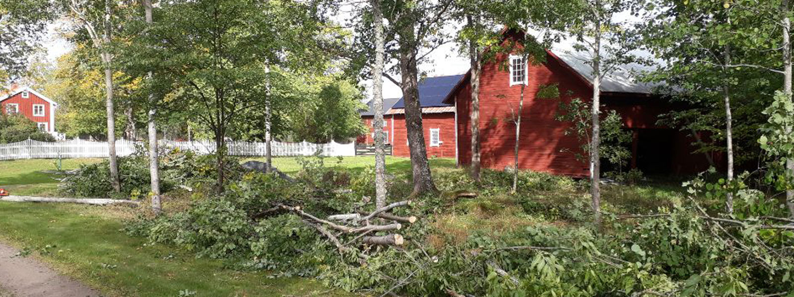 Vårda miljön tryggt och säkert med våra arboristtjänster. 