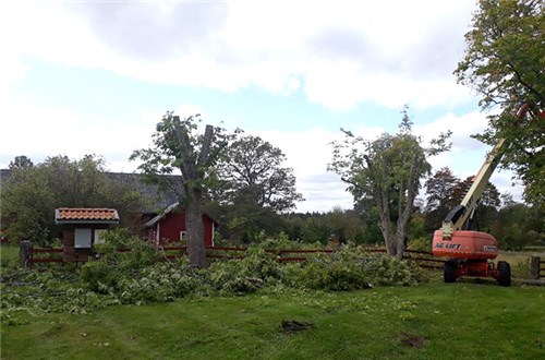 Certifieringar för Rimforsa skog. 